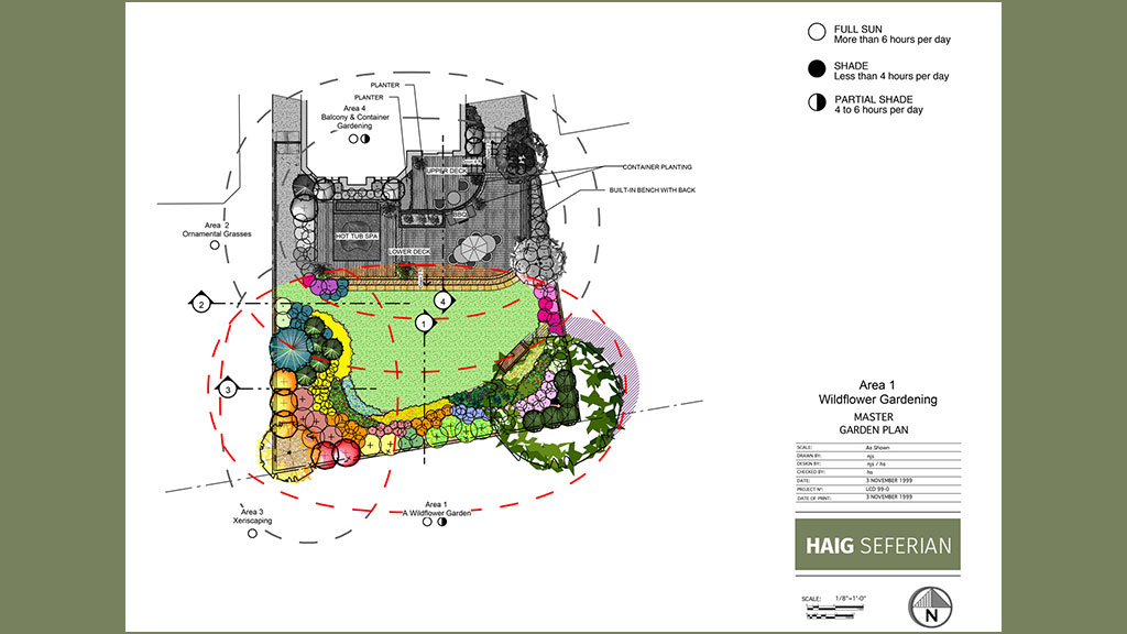 Wildflower Garden Design