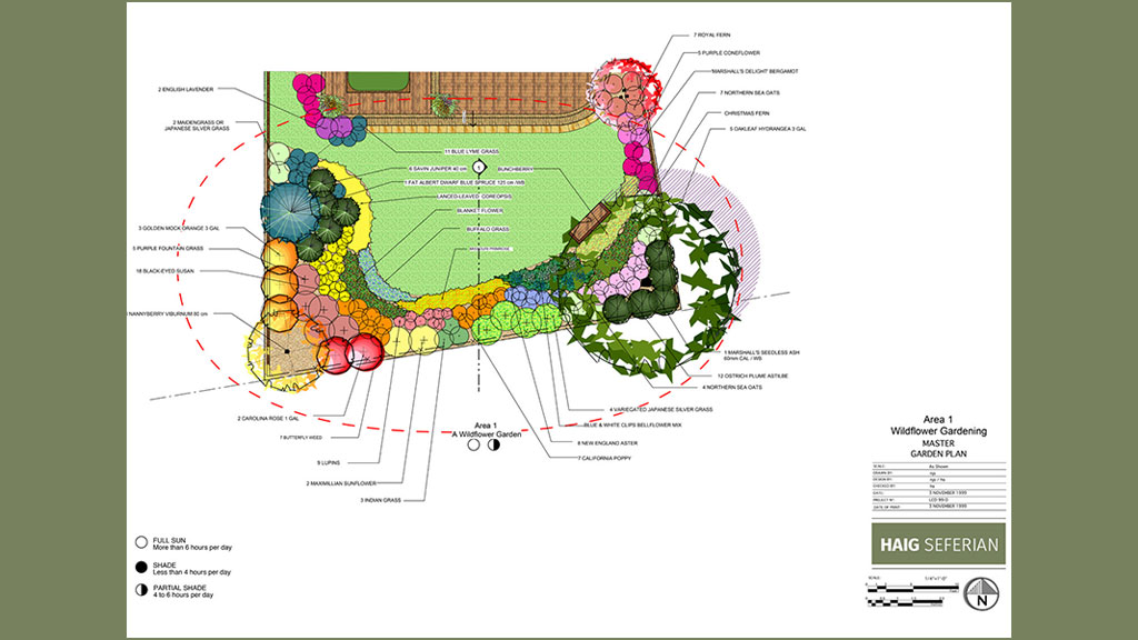 Wildflower Garden Design