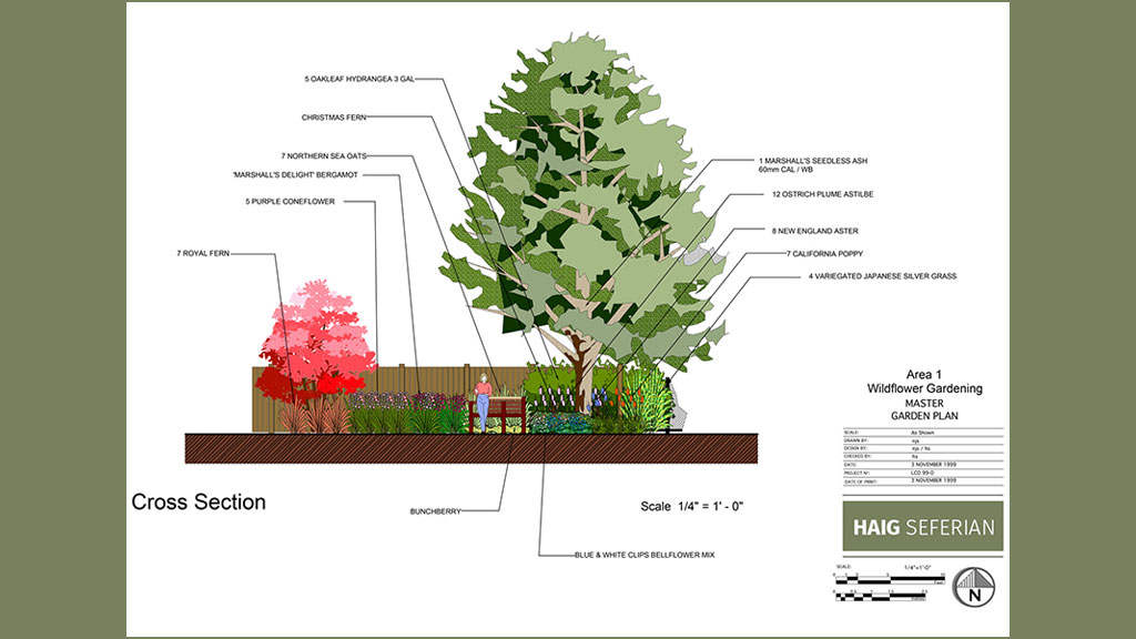 Wildflower Garden Design