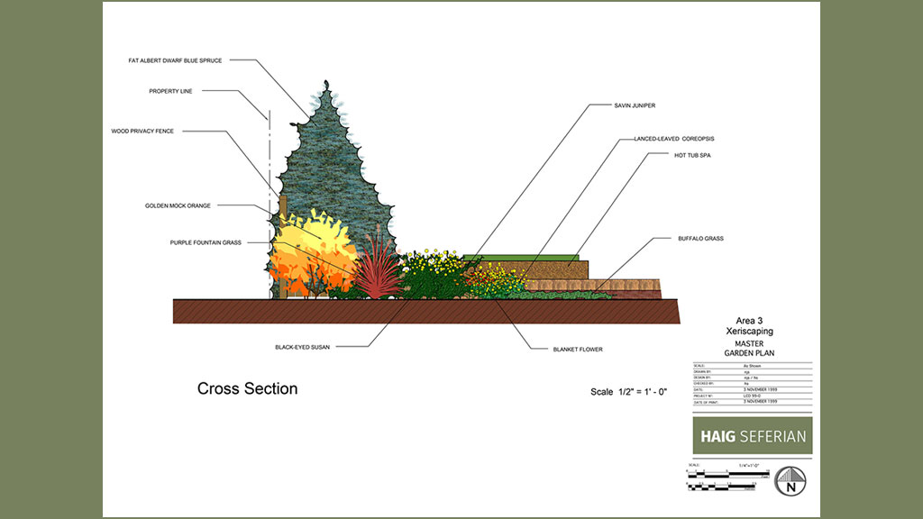 Xeriscape Garden Design