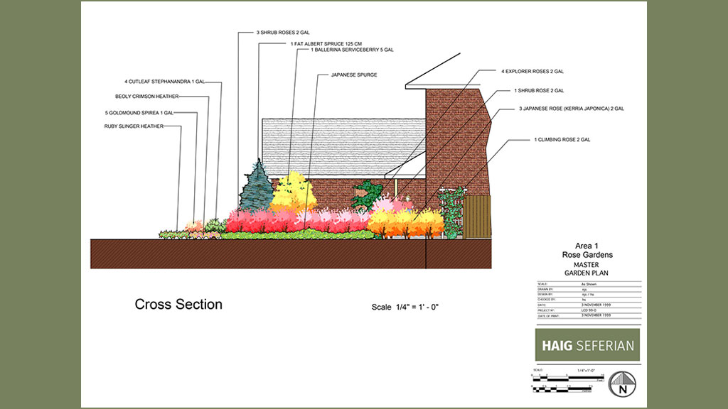 Rose Garden Design